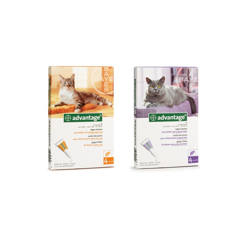 Advantage Pipettes Anti Puces Pour Chats Bayer Direct Vet