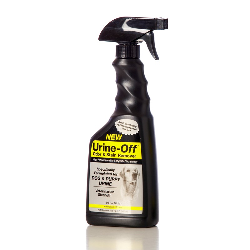 UrineOff™ Spray contre l'urine de chien / DirectVet