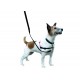 Halti - Harnais anti-traction pour chien