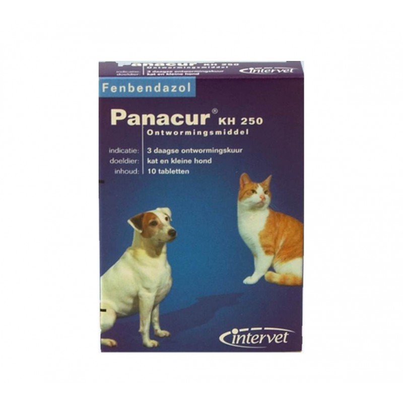 Quelle race de chien compatible avec les chats ? – ADAPTIL & THUNDERSHIRT