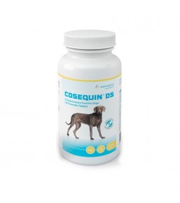 Cosequin Chien