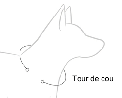 Tour de counCollier Neo Classic EzyDog