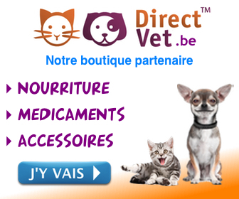 Bannière affiliation Direct-Vet
