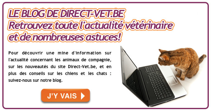 Blog de Direct-Vet.be