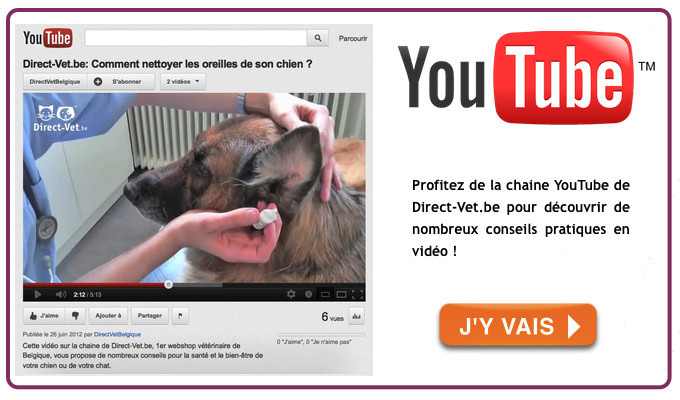 Chaine YouTube de Direct-Vet.be