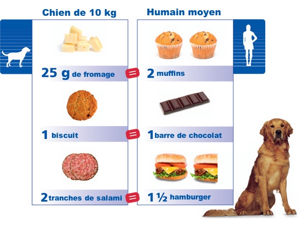 friandises pour chien