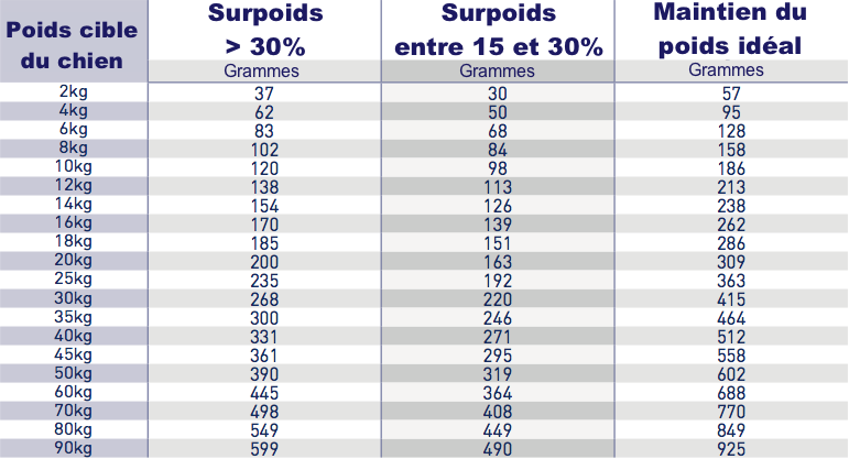 Royal Canin Obesity Management